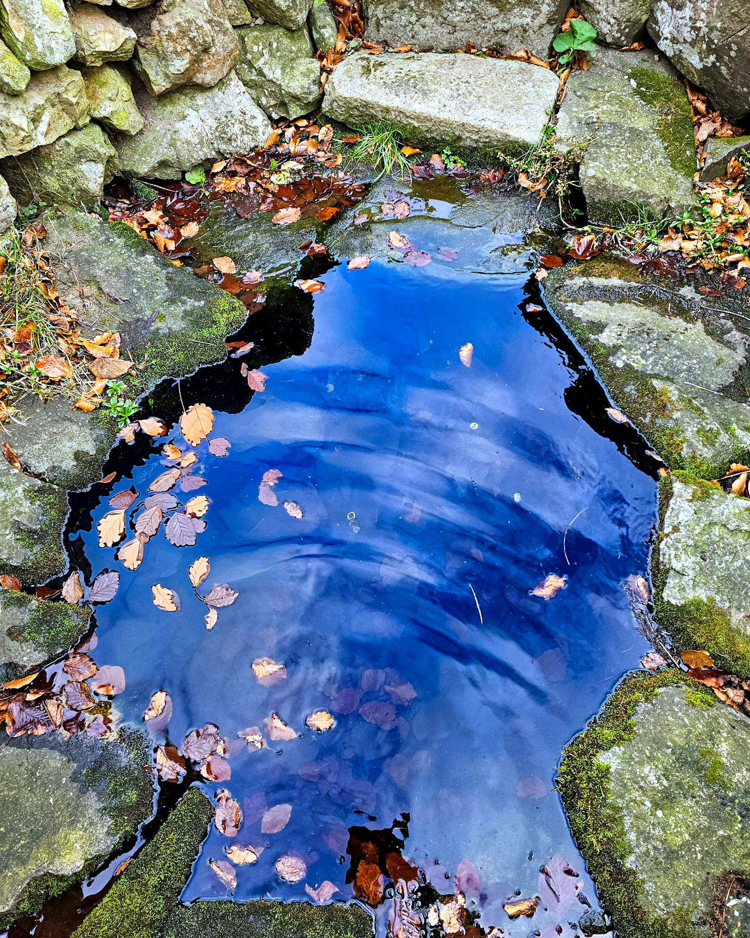 Källa på Österlen